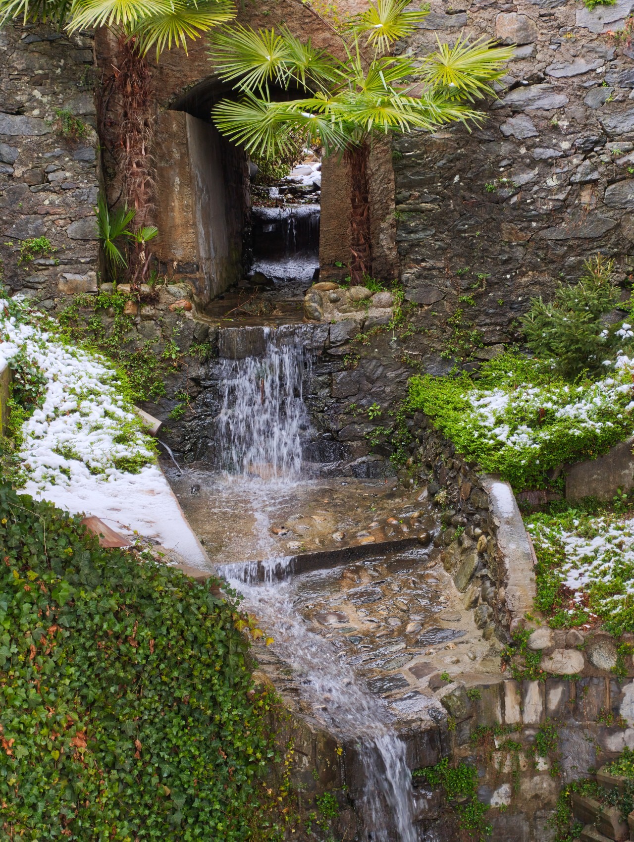 IMG_20260315_091514.jpg_compressed